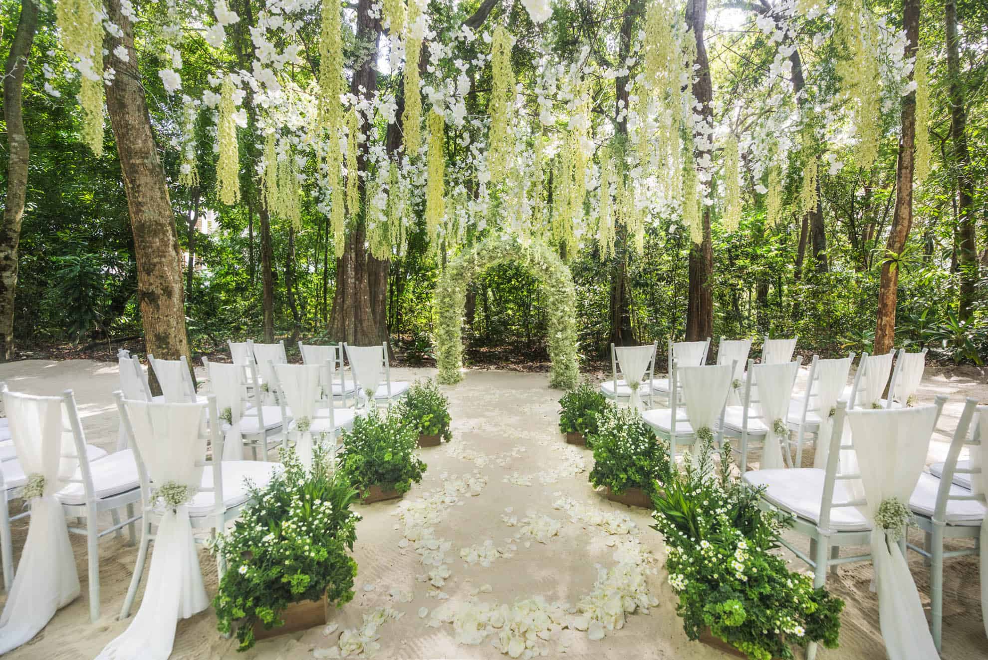 Montaje para boda en selva con arco de flores, vides colgantes, pétalos en el suelo y sillas.