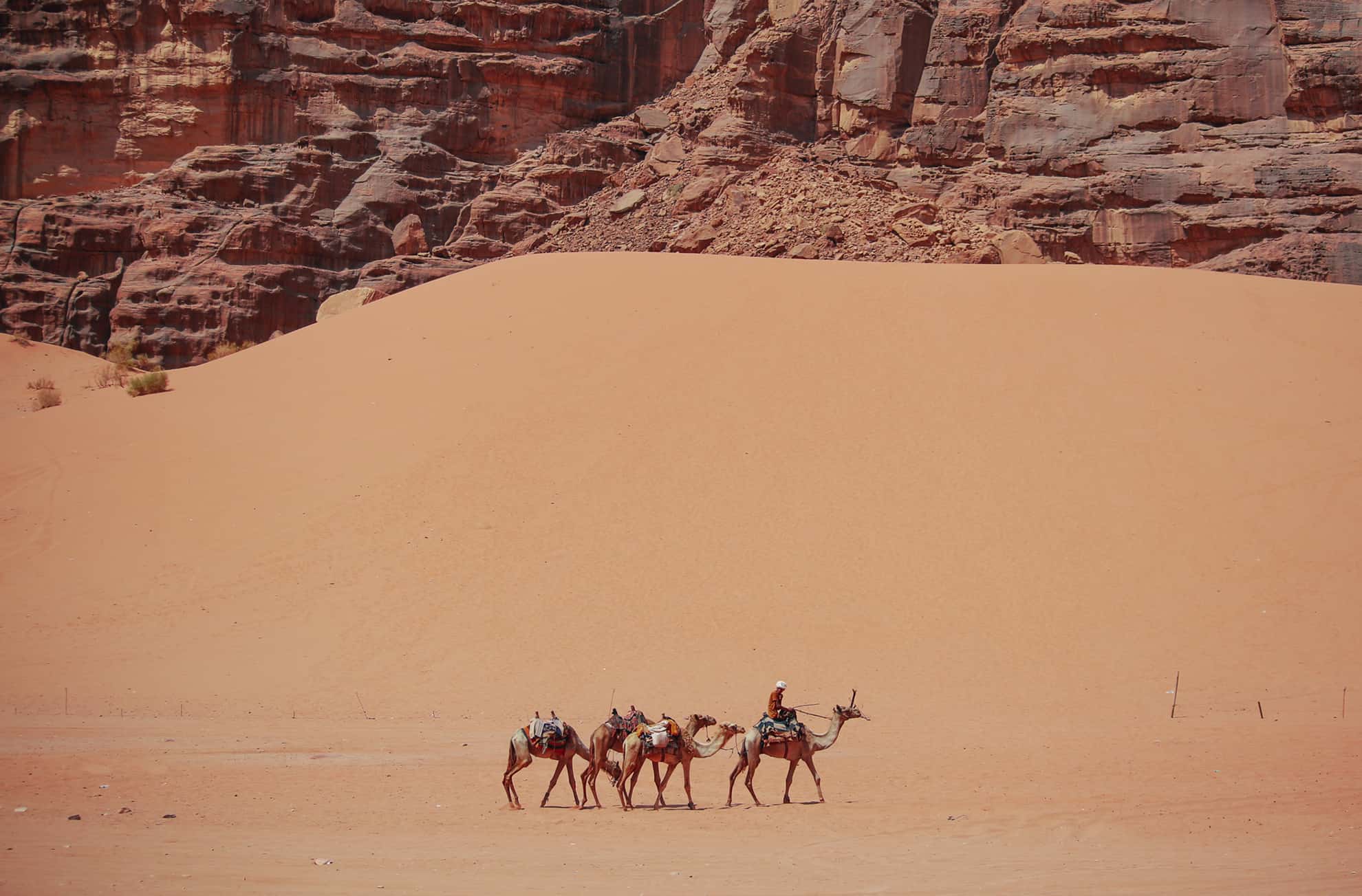 Man riding a camel across desert sand with three saddled camels in tow