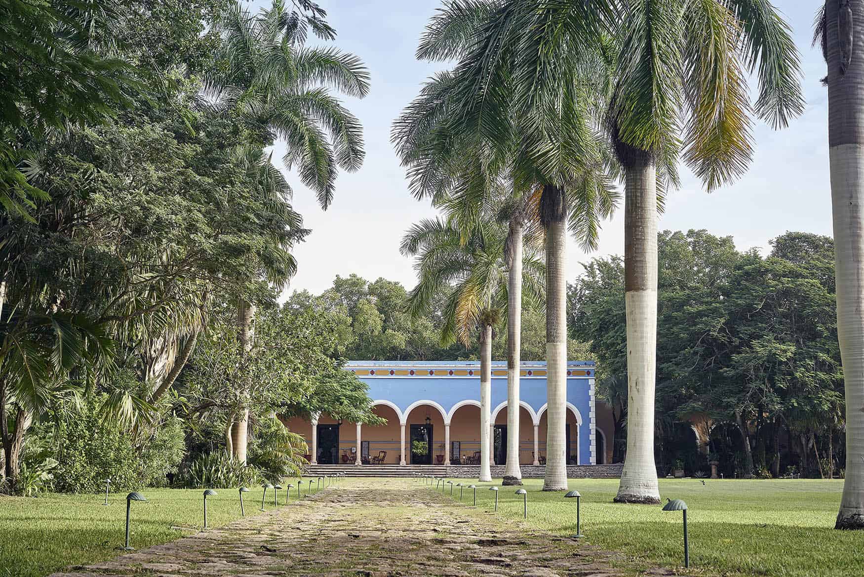 Unpaved walkway lined with tall trees leading to one-story hacienda style building