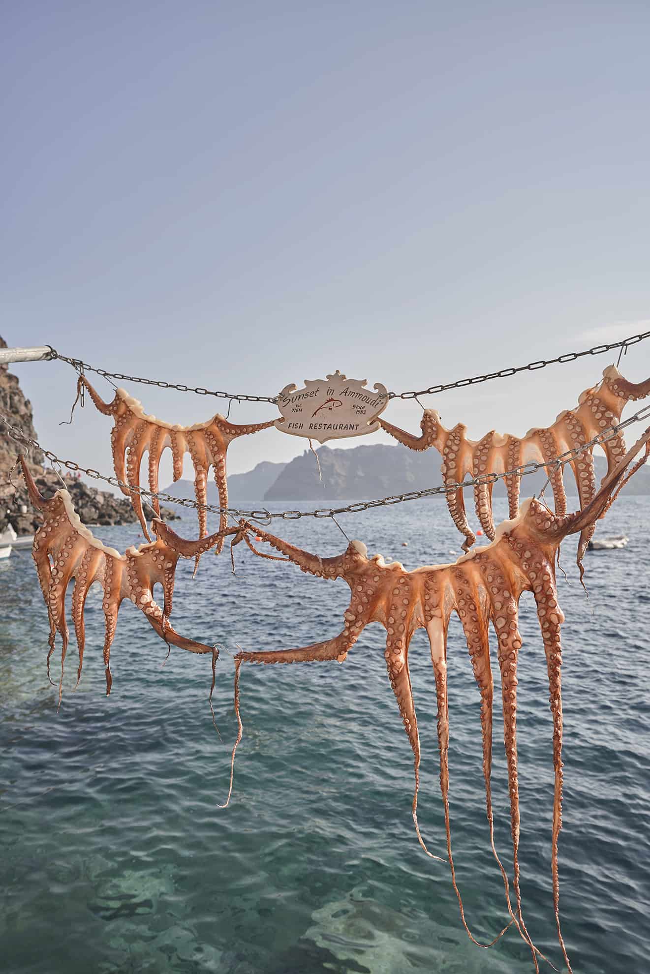 Octopus tentacles and restaurant sign tied to chains dangling above ocean, cliffs in distance