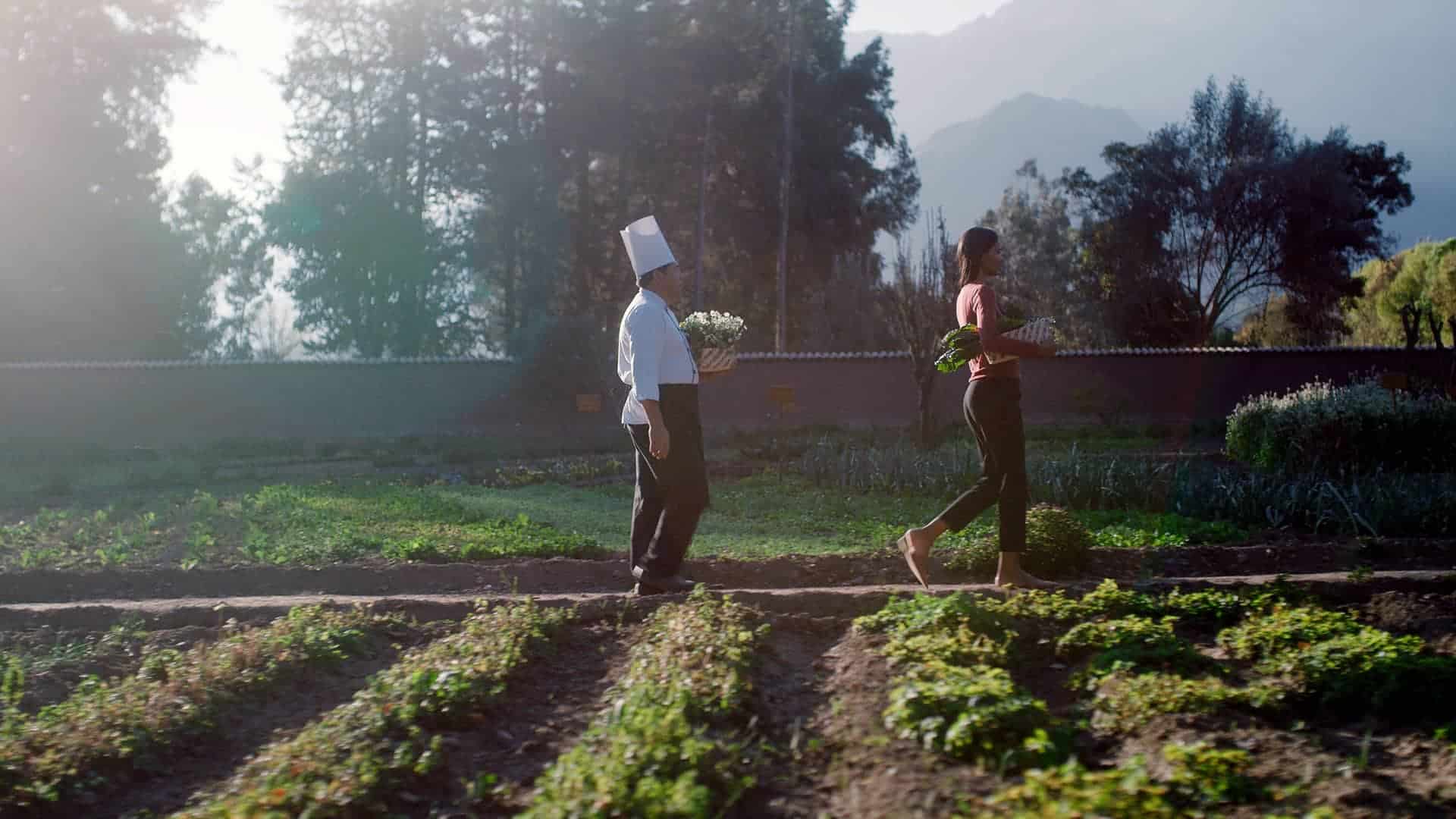Ein Küchenchef und eine Frau, die durch einen Gemüsegarten gehen und Gemüse tragen