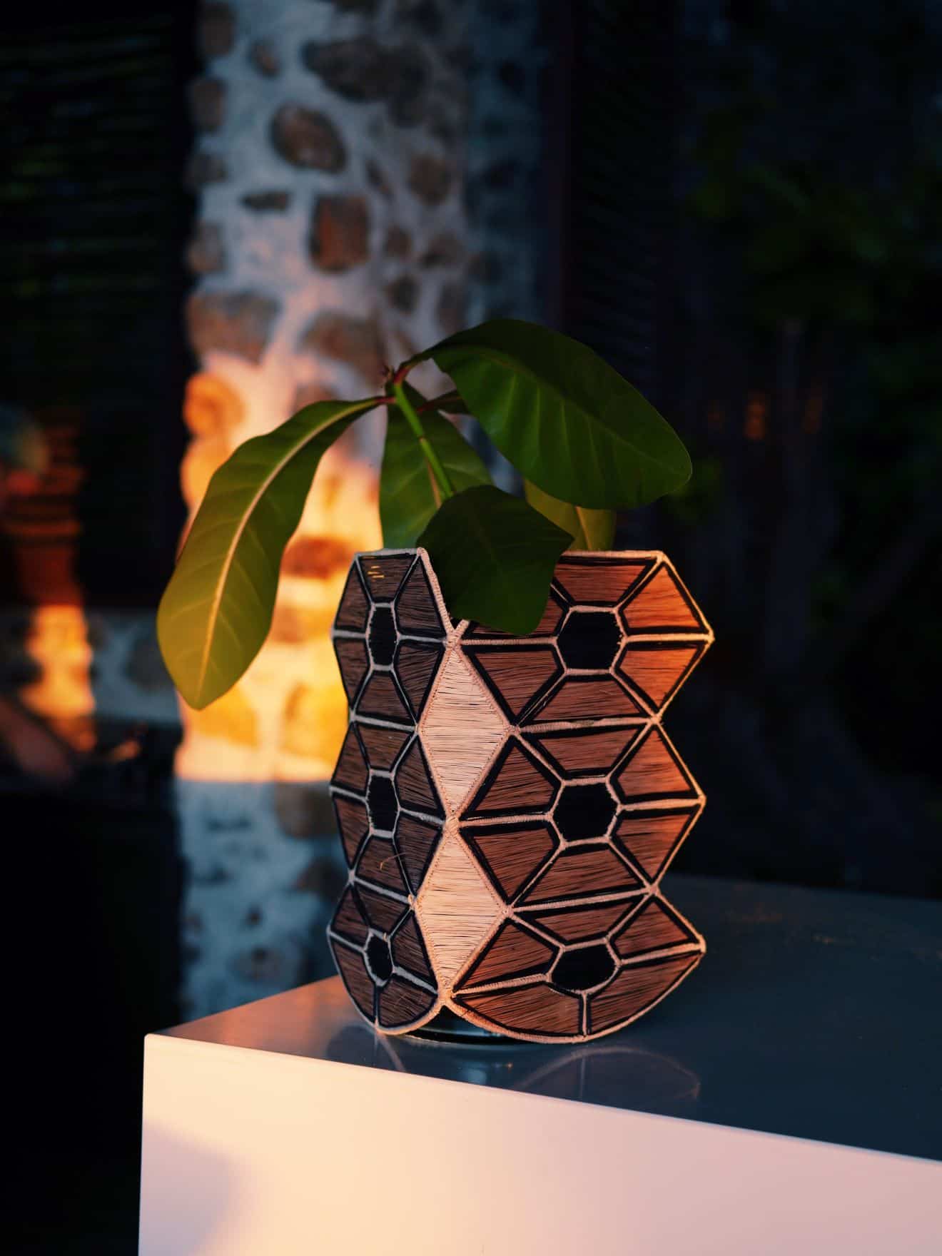 Unique wooden vase with geometric shapes and plant