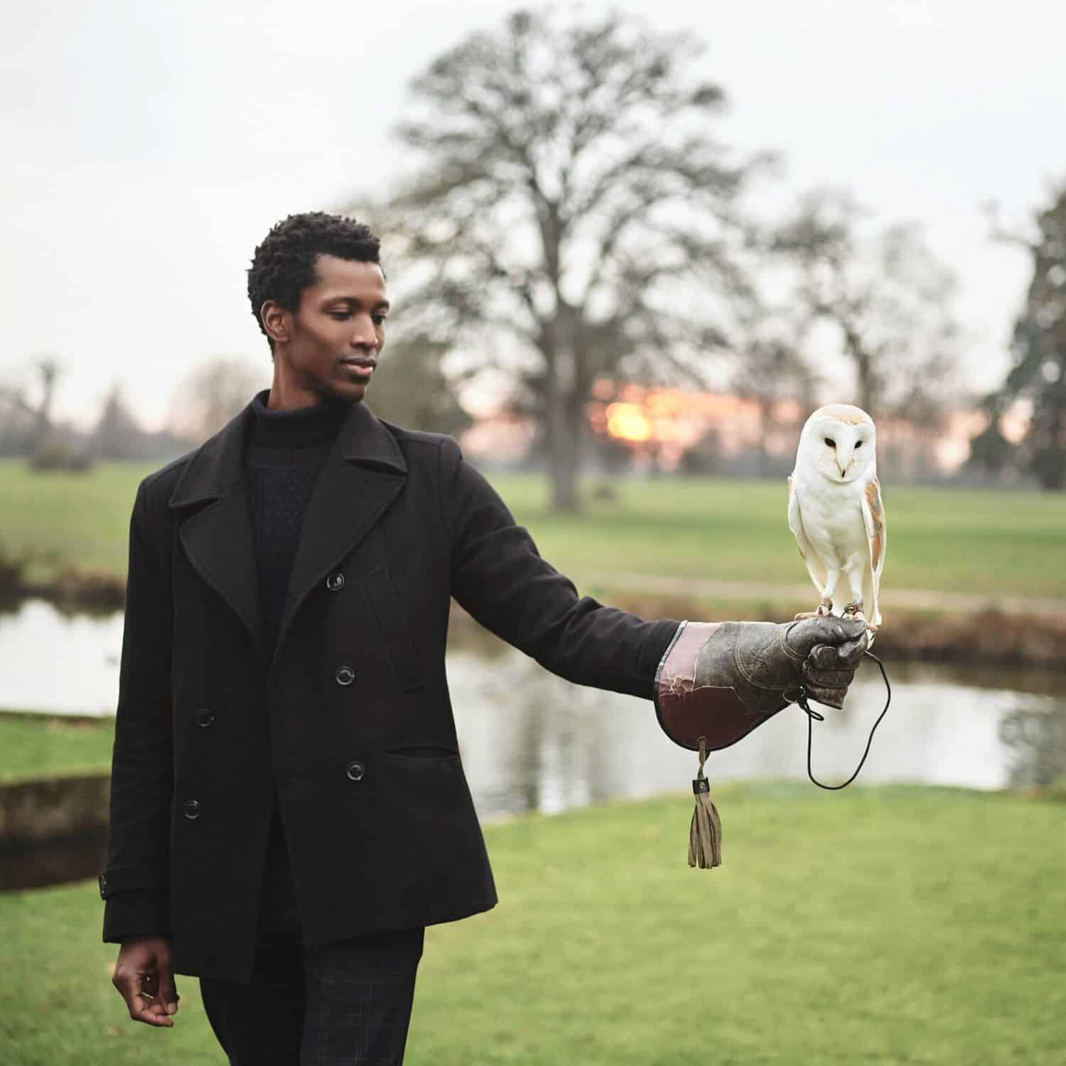 Man wearing leather glove with owl perched on hand