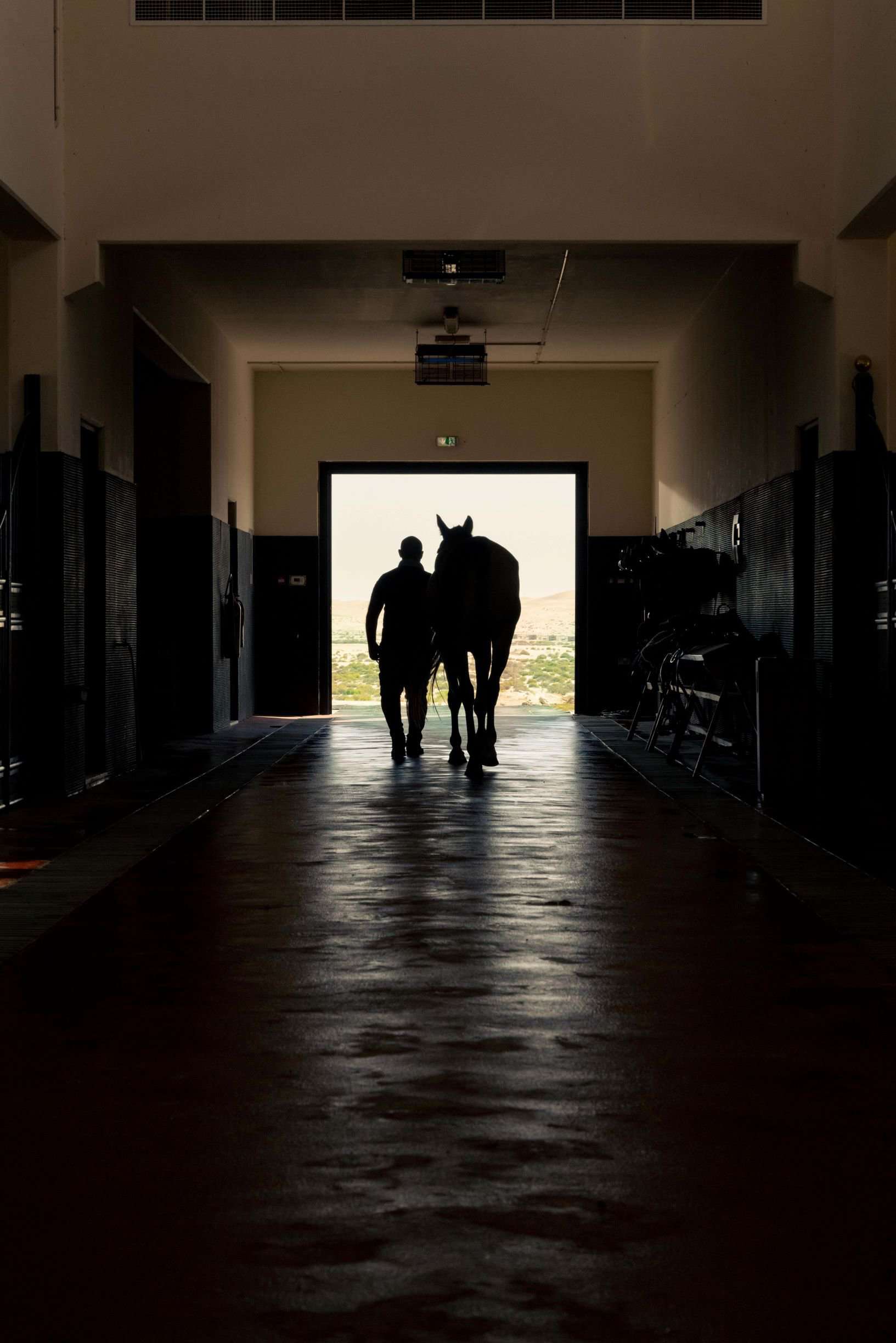 man and horse walking out of stable
