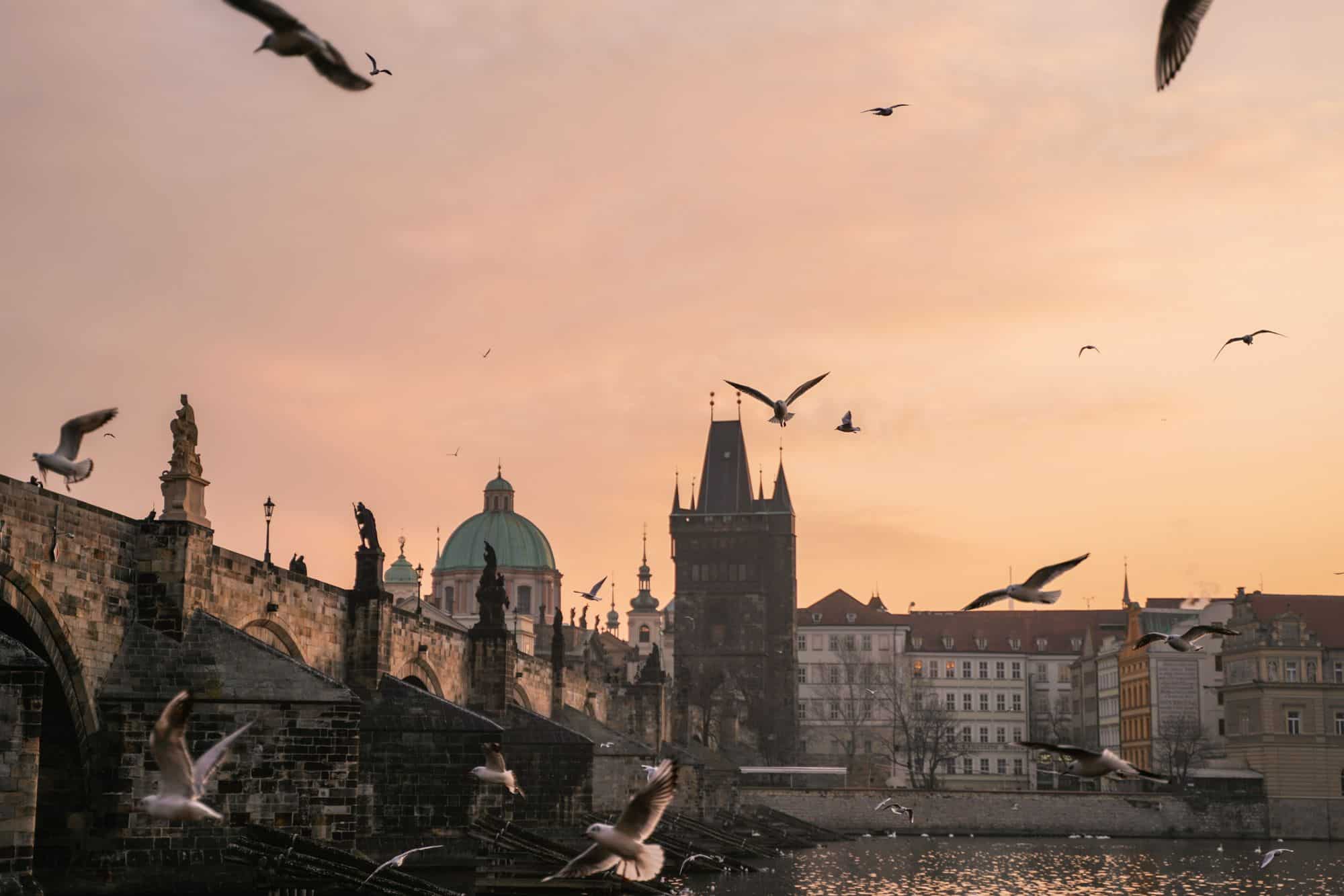 European city with moody sky and birds flying